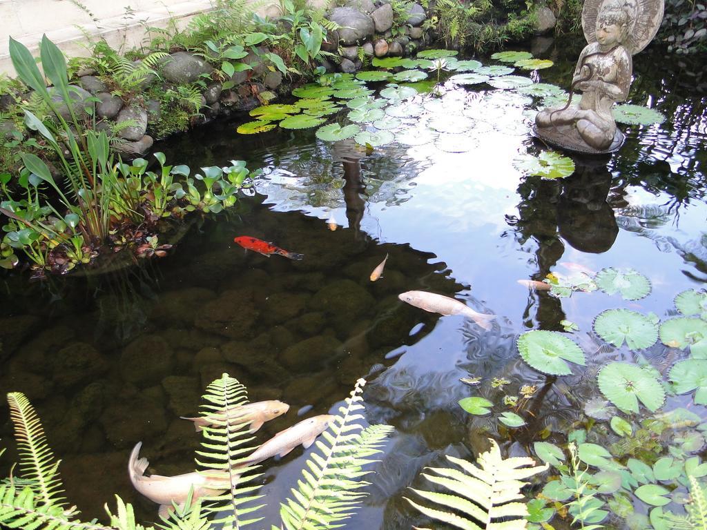 Heaven In Bali Apartment Penginyahan Exterior photo